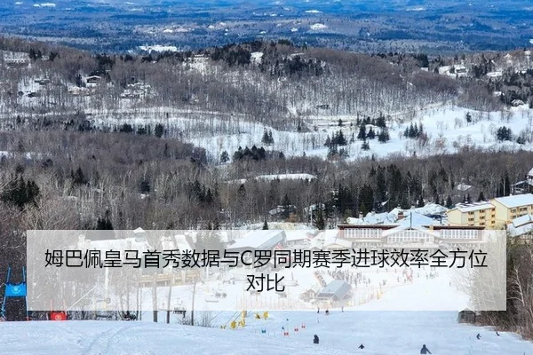 mu-ba-pei-huang-ma-shou-xiu-shu-ju-yu-luo-tong-qi-sai-ji-jin-qiu-xiao-lv-quan-fang-wei-dui-bi-3-450.jpg