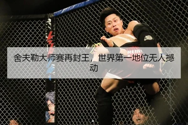 舍夫勒大师赛再封王，世界第一地位无人撼动