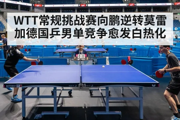 WTT常规挑战赛向鹏逆转莫雷加德国乒男单竞争愈发白热化